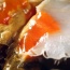 Ghẹ ba chấm sống ngon chắc thịt
